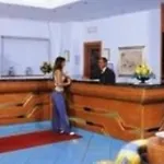 帕可奥罗拉泰尔梅酒店 4* 伊斯基亚